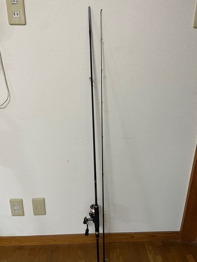 ダイワ　エギングX とレブロスLT2500S-DHセット