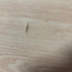 折りたたみテーブルの画像
