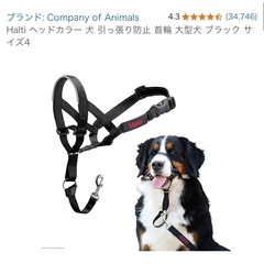 Halti ヘッドカラー 犬 引っ張り防止 首輪 大型犬 ブラック サイズ4の画像