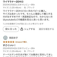 Halti ヘッドカラー 犬 引っ張り防止 首輪 大型犬 ブラック サイズ4の画像