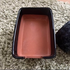 爬虫類　シェルターの画像