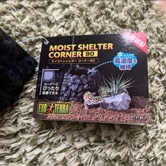 爬虫類　シェルターの画像