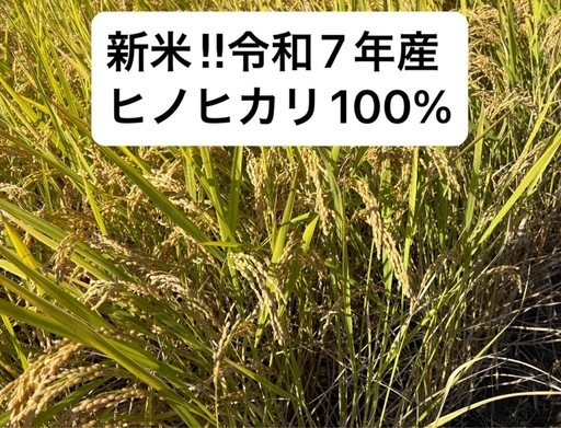 新米！令和7年産 ヒノヒカリ 玄米 30キロ　お米