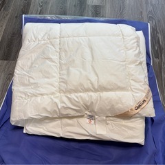 インビスタ　ダブル　掛布団　専用カバー付きの画像