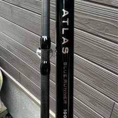 APIA グランデージアトラス ブルーランナー100Hの画像