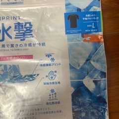 氷撃TシャツLの画像