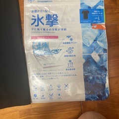 氷撃TシャツLの画像