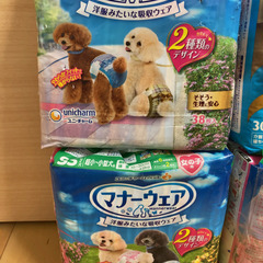 犬用マナーウェアの画像