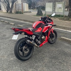 🉐CBR250R MC41後期の画像