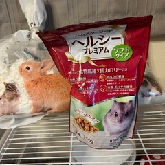 ハムスター　スターターセット　の画像