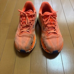 29.0 ナイキ メンズ ランニングシューズ オレンジの画像