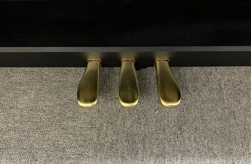 CASIO  GP-510　ハイブリッドピアノ【木製鍵盤】