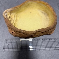 GEX 水入れ　爬虫類　ウォーターディッシュ