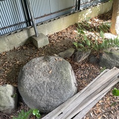 庭石　たくさんの画像