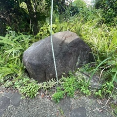 庭石　たくさんの画像