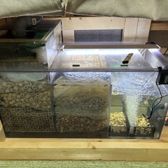 アクリル水槽の画像