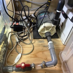 アクリル水槽の画像
