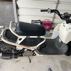 ホンダ　ズーマー　原付の画像