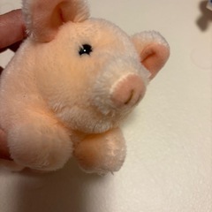 ぬいぐるみ　豚の画像