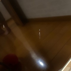 テレビの画像
