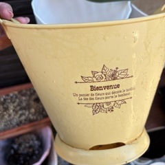 【植木鉢17点セット　秋からのガーデニングに｜500円】
の画像