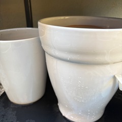 【植木鉢17点セット　秋からのガーデニングに｜500円】
の画像