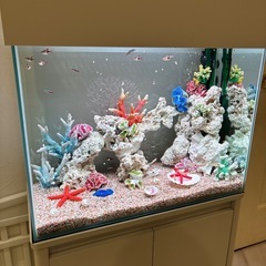 水槽　セット一式　値引き可能　
淡水魚　海水魚の画像