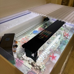 水槽　セット一式　値引き可能　
淡水魚　海水魚の画像