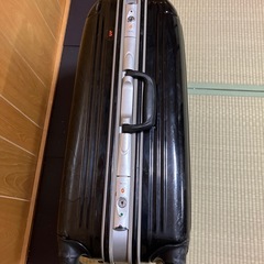 ✈️キャリーバッグの画像
