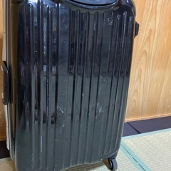 ✈️キャリーバッグの画像