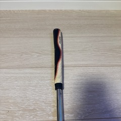 ウィルソンパターの画像