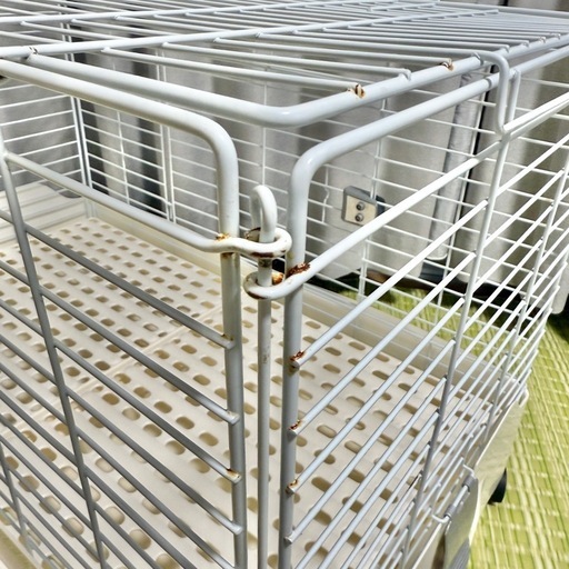 EASY  EVO 80 小動物用ケージ　イージーホームエボ イージーホーム エボ 80WH ｜ 株式会社三晃商会