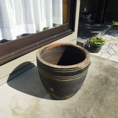 大きな植木鉢の画像