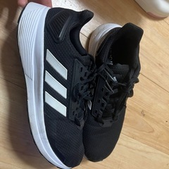 adidas シュズ　size 250cmの画像