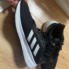 adidas シュズ　size 250cmの画像