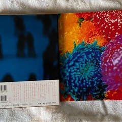 【０円】蜷川実花 本 2冊セットの画像