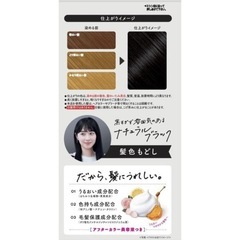 ビューティーラボ 黒髪戻し ナチュラルブラックの画像