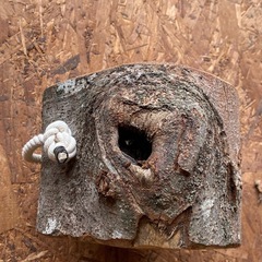 キャンプ 焚き火セット②の画像