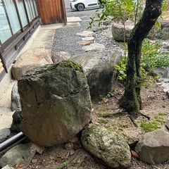 庭石　植木の画像