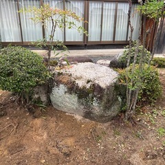 庭石　植木の画像
