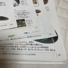 図鑑　4冊 まとめ売り　セットの画像