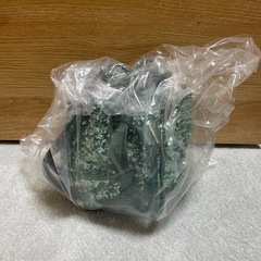 リリーブラウン バッグあげますの画像