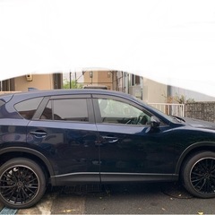 cx-5
の画像