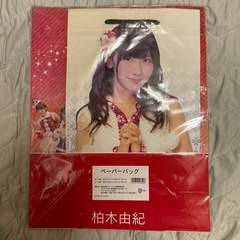 柏木由紀　紙袋２枚　クリスマスデザインの画像