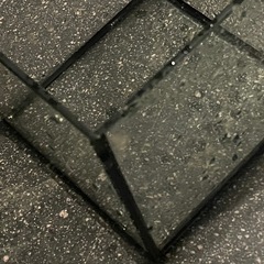 LEGRASS ガラス水槽の画像