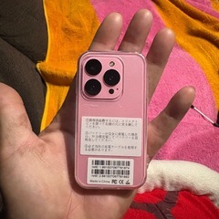 お子様に！ミニミニフォン！！の画像