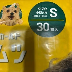 小型犬　おむつ　男女兼用　Sサイズの画像