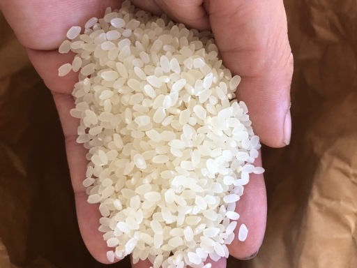 (取引中)R7 新米　玄米15kg