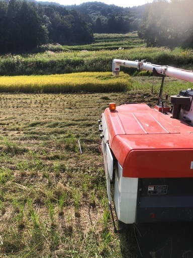 (取引中)R7 新米　玄米15kg