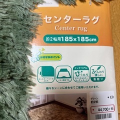 グリーン センターラグ 185×185cmの画像